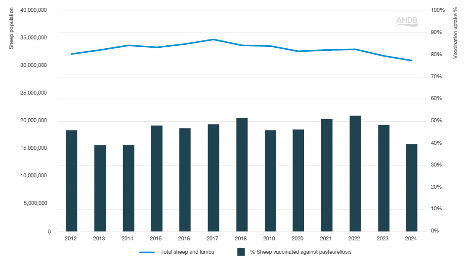 Bar graph with pasturella vaccination data from 2012-2024.